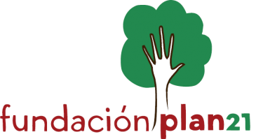 Plataforma de Capacitación | Fundación Plan21